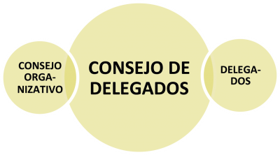 Concejo de delegados